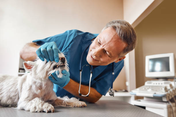 Best Emergency Tooth Extraction in Victoria, KS